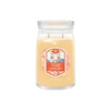 Kép 1/3 - Yankee Candle® SLOPESIDE SPRITZ nagy üveggyertya 567g