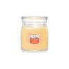 Kép 1/3 - Yankee Candle® SLOPESIDE SPRITZ közepes üveggyertya 368g