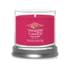 Kép 2/4 - Yankee Candle®  SANTA ON SKIS tumbler kis üveggyertya