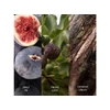 Kép 3/4 - WoodWick® Verdant Fig hajógyertya 453g