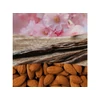 Kép 2/2 - WoodWick® Cherry Blossom & Vanilla  kis üveggyertya 85g