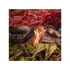Kép 3/3 - WoodWick® Vanilla Embers trilogy nagy üveggyertya 610g