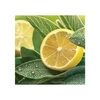 Kép 3/3 - Yankee Candle® SAGE & CITRUS pálcás DIFFÚZOR 100 ml