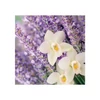 Kép 3/4 - Yankee Candle® LAVENDER VANILLA  nagy üveggyertya 567g