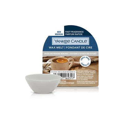 Yankee Candle® WOODLAND WEEKEND miniviasz 22g