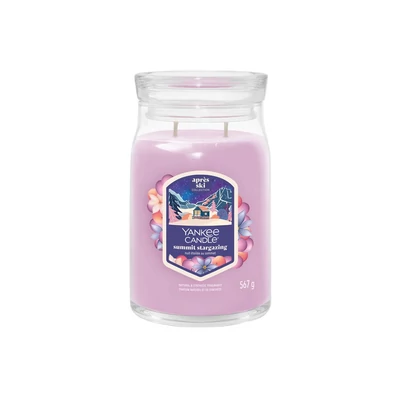 Yankee Candle® SUMMIT STARGAZING nagy üveggyertya 567g