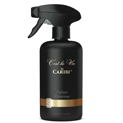 C'est la Vie légtér spray - 501- V_ersace - Eros
