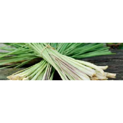 CWS Fresh Lemon Gras illat Air Bar készülékhez (8db)