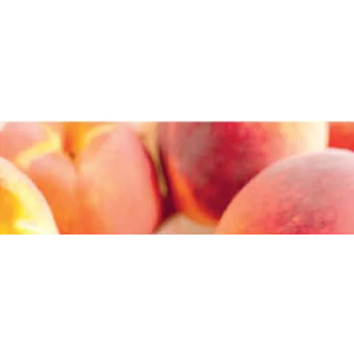 CWS peach heaven illat Air Bar készülékhez (8db)
