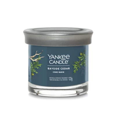Yankee Candle® Bayside Cedar Tumbler kis üveggyertya 122g