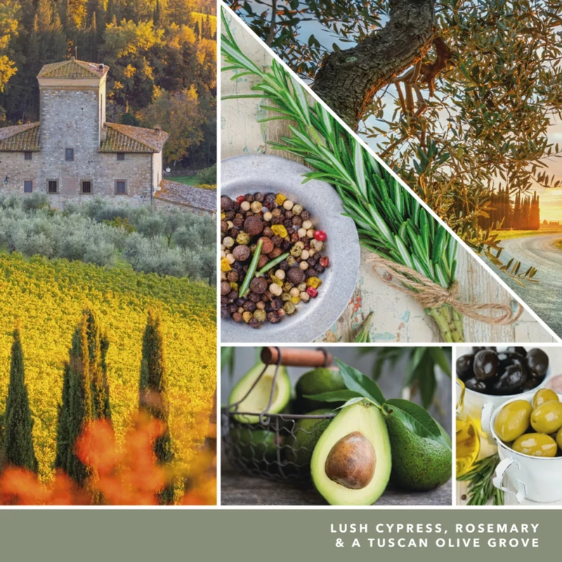 Yankee Candle® Olive & Cypress Signature közepes üveggyertya 368g