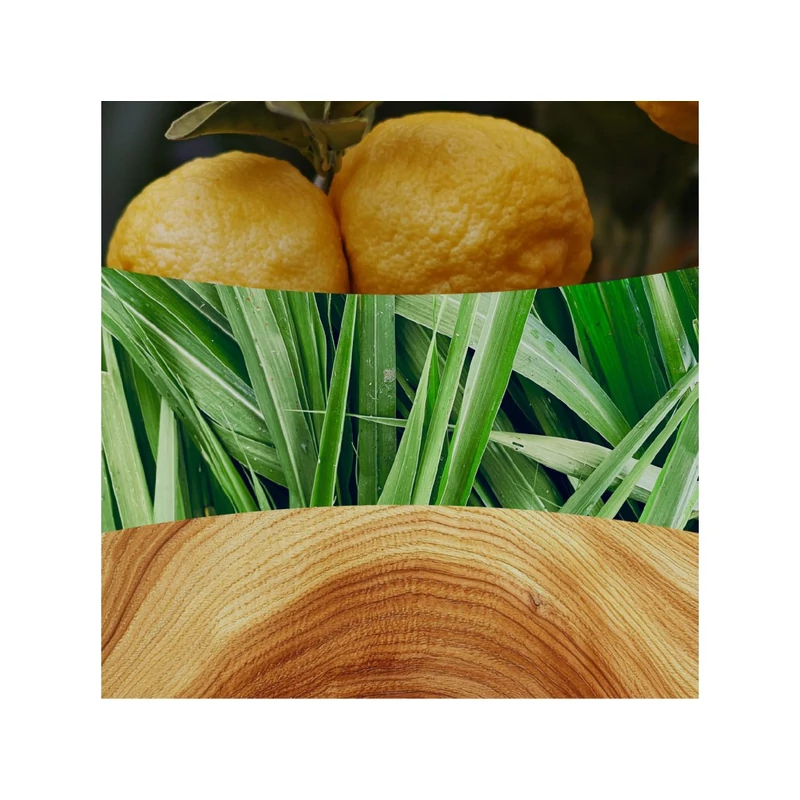 WoodWick® Yuzu & Vetiver közepes üveggyertya 275g