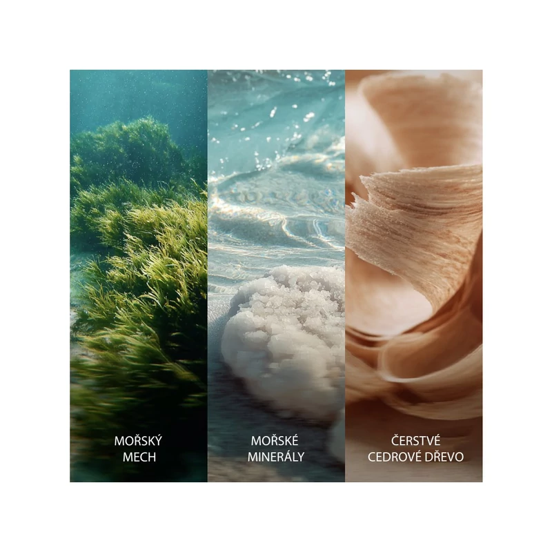 WoodWick® Cedarwood & Ocean Moss kis üveggyertya 85g