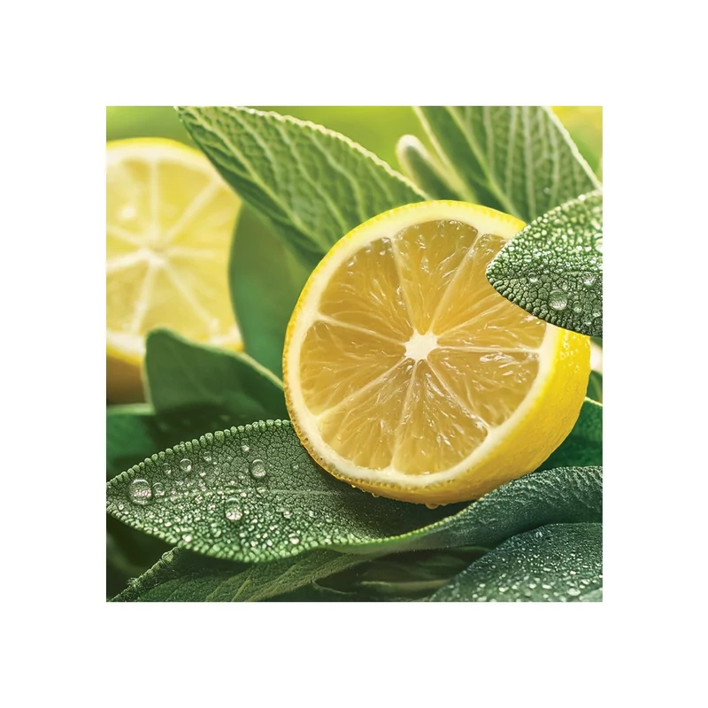 Yankee Candle® SAGE & CITRUS pálcás DIFFÚZOR 100 ml