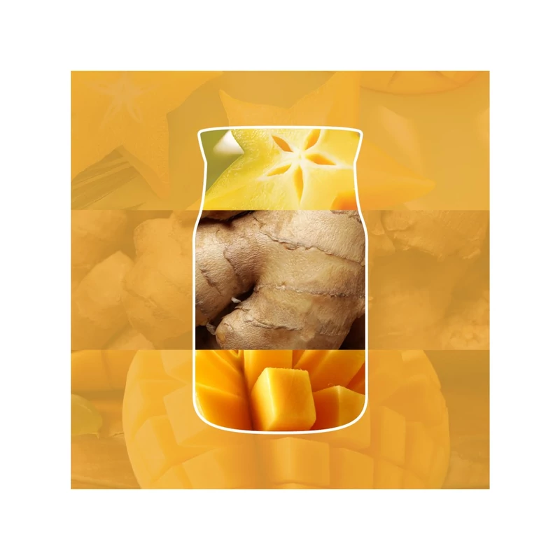 Yankee Candle®STARFRUIT & SUNSHINE pálcás DIFFÚZOR 100 ml