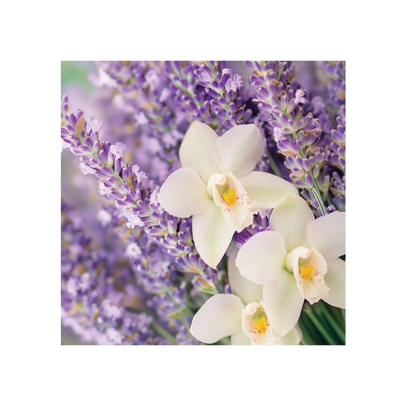 Yankee Candle® LAVENDER VANILLA közepes üveggyertya 368g