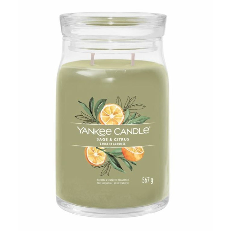 Yankee Candle® Sage & Citrus nagy üveggyertya