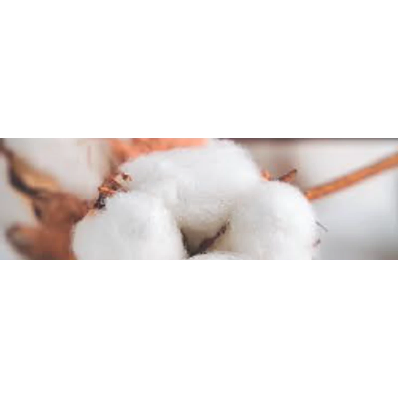 CWS Pure Cotton illat Air Bar készülékhez (8db)